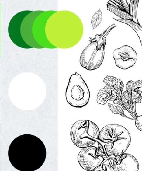 FRESHKO palette και ink illustrations